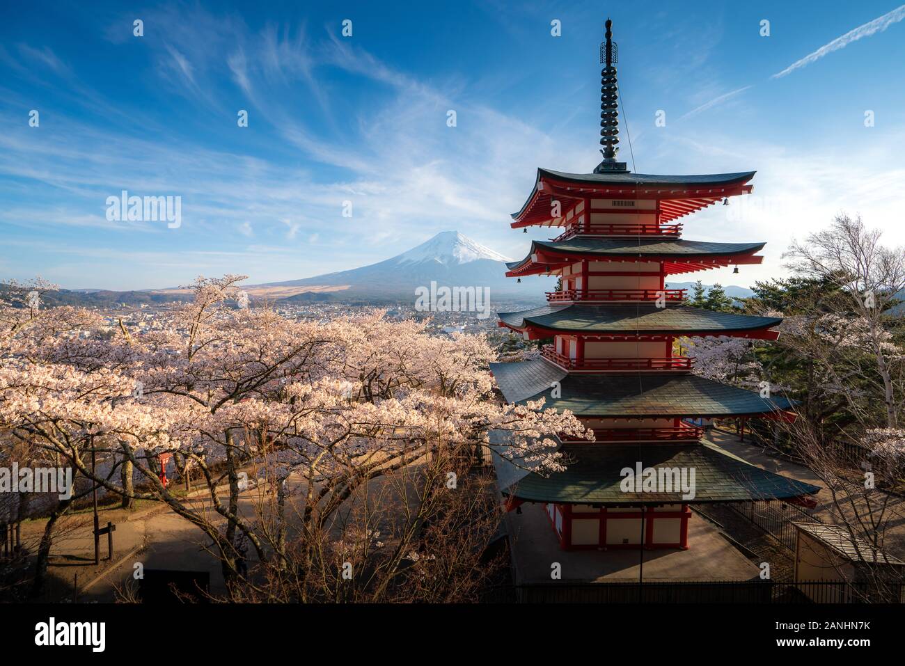Fujiyoshida, Japan at Chureito Pagoda and Mt. Fuji in the spring with  cherry blossoms full bloom during sunrise. Japan Landscape and nature  travel, or Stock Photo - Alamy