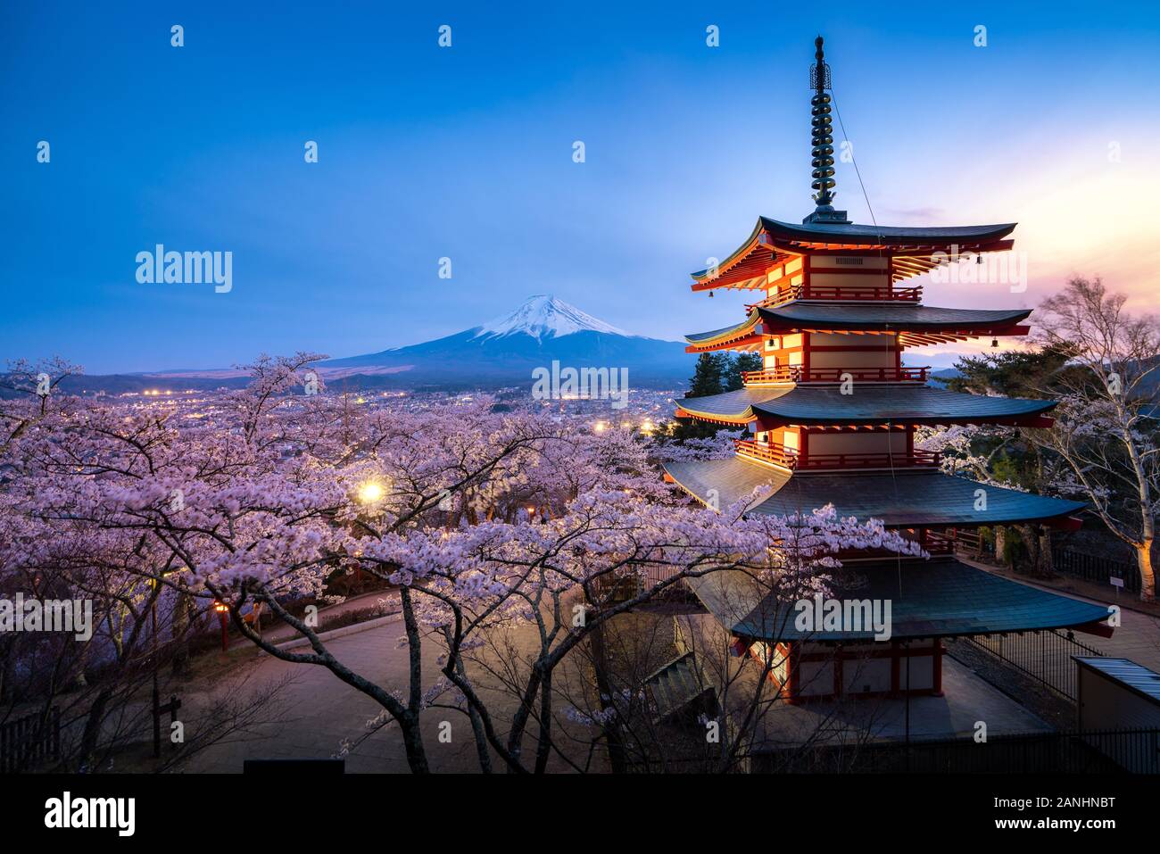Fujiyoshida, Japan at Chureito Pagoda and Mt. Fuji in the spring with cherry blossoms full bloom during twilight. Japan Landscape and nature travel, o Stock Photo