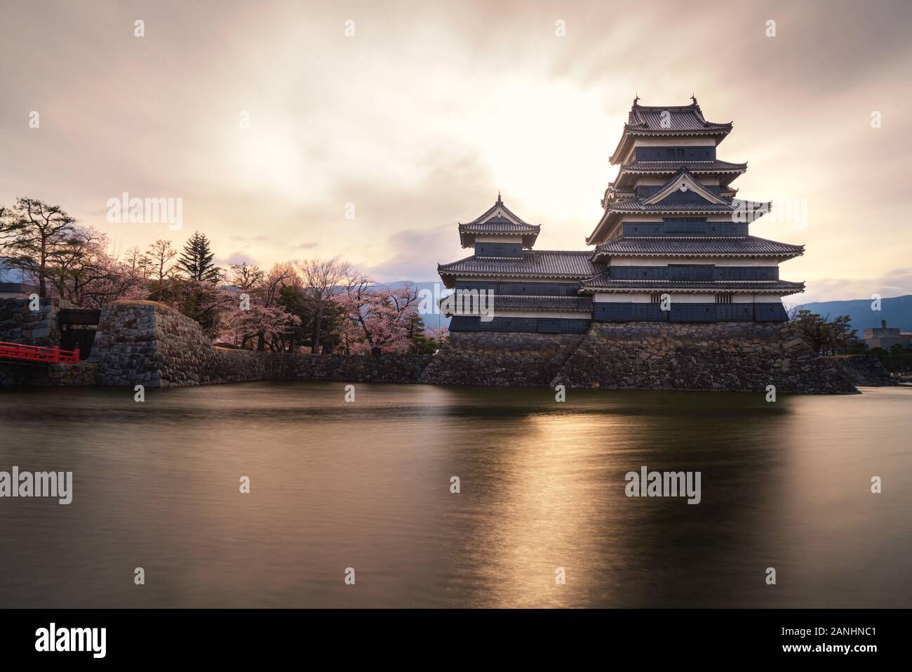 Matsumoto Castle during cherry blossom (Sakura) is one of the most famous sights in Matsumoto, Nagano, Japan. Japan tourism, history building, or trad Stock Photo