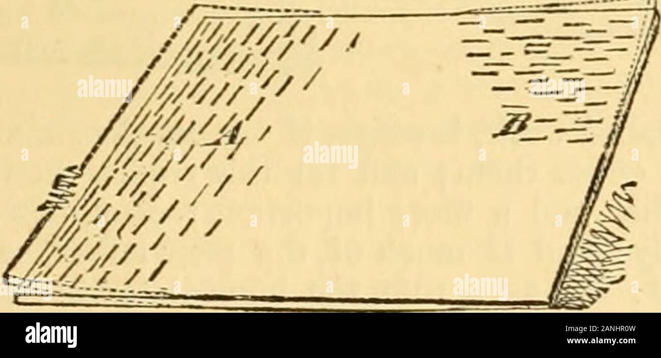 Appletons' cyclopaedia of applied mechanics: a dictionary of mechanical engineering and the mechanical arts . denoted by the marks at B in the same figure (this the workman can perform by reversing thehammer, without changing his position); the result will be to curl up the plate as denoted by thedotted lines. This effect is produced by two causes, the first of which is the shape of the hammer-face, and the second is the direction in which the blows fall. Fig. 2258 represents an iron plate. 2258. D nt with one each of the blows shown in Fig. 2257 delivered upon it, at B and C. Then, the indent Stock Photo