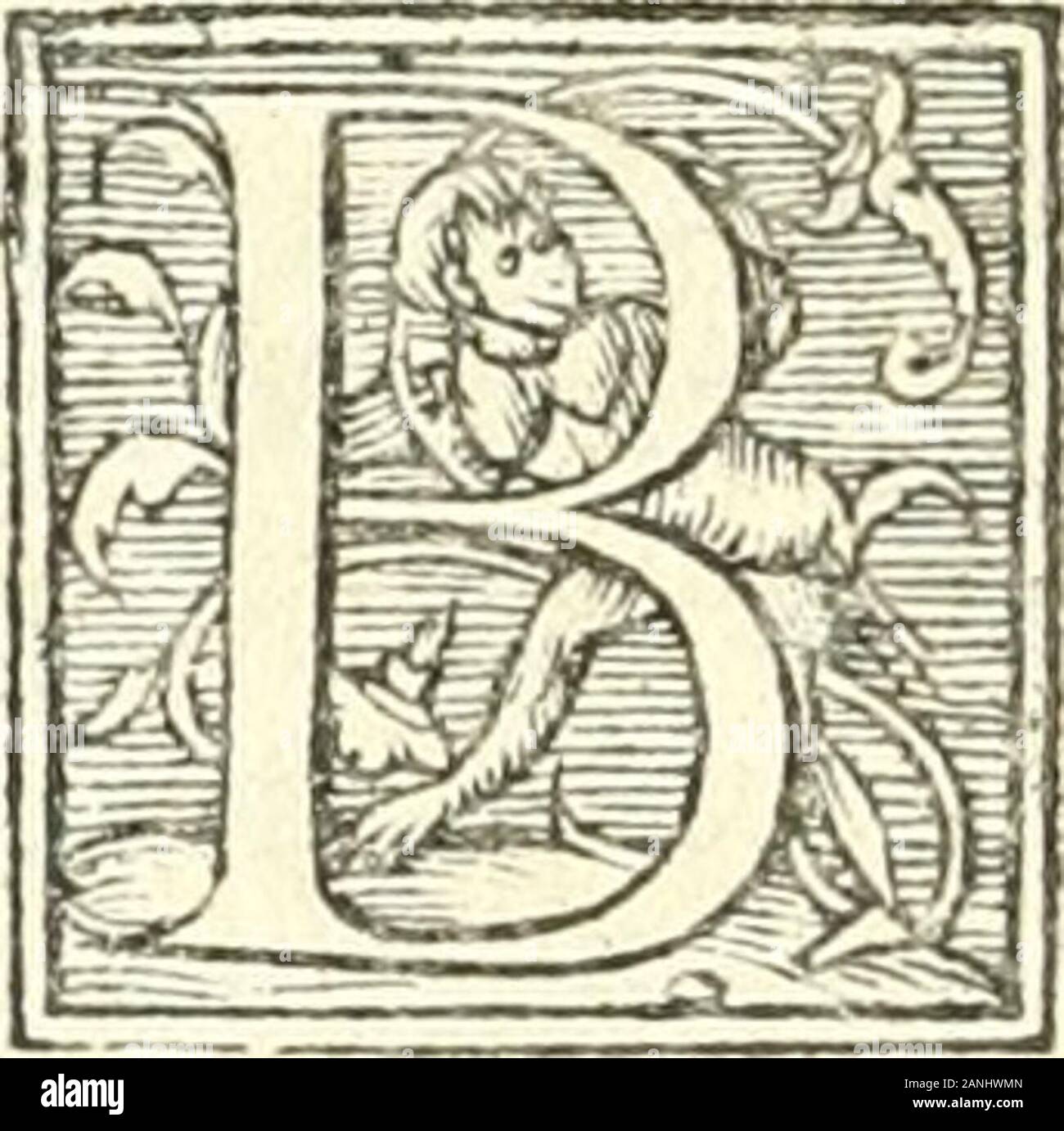 L'agriculture et maison rustique; en laquelle est contenu tout ce qui peut estre requis, pour bastir maison champestre, nourrir & medeciner bestiail & volaille de toutes fortes, dresser iardins ..entretenir les prez, viuiers & estangs ..Plus vn bref recueil de la chasse & de la fauconnerie . meurc,à ce quelle ne faille hors de la cotte. PorreauXiCihouleSyCiUotz^ Chap, 10, Es porreauîT, ciboules, & ciuots ne deman-dent terre lî richeny amendée que les her-bes cy dcffus nommees,& les peut Ion fcmcr>^--^_,jjj-. tn tout temps, linon que pour en aucirla^JiL^y graine, il les faut femer en Décembr Stock Photo