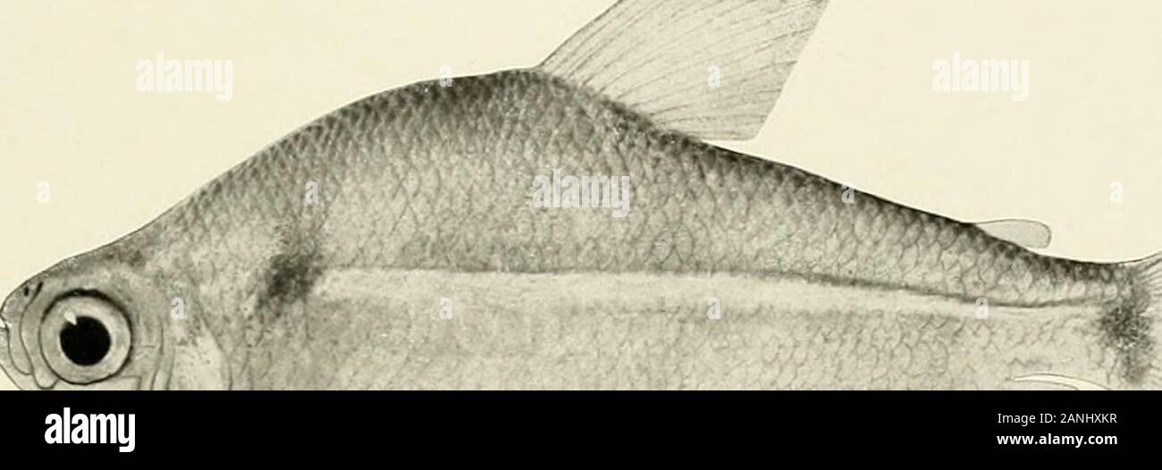 58 Mm Stock Photos 58 Mm Stock Images Alamy