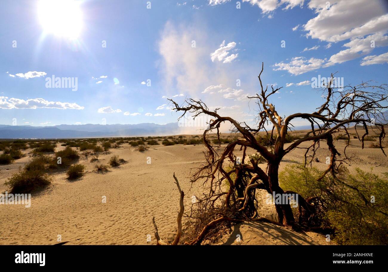 A sandstorm in Death Valley National Park. Stock Photo