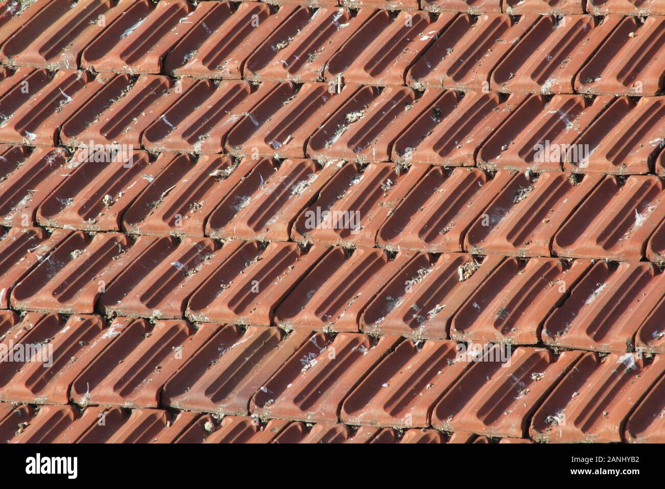 Bird droppings on roof tile Stock Photo