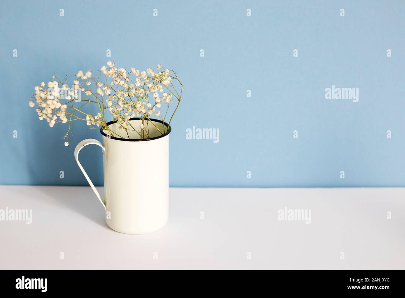 Dried gypsophila in a white enameled high mug on a white and blue background. Copy space Stock Photo