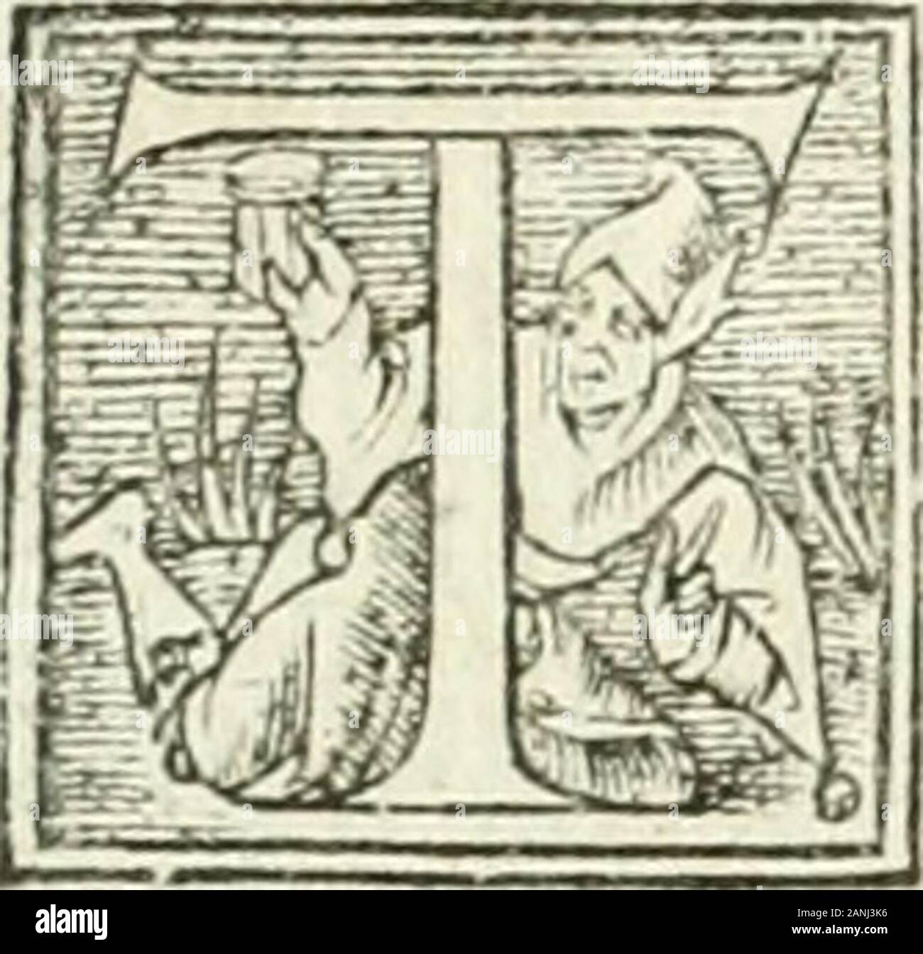 L'agriculture et maison rustique; en laquelle est contenu tout ce qui peut estre requis, pour bastir maison champestre, nourrir & medeciner bestiail & volaille de toutes fortes, dresser iardins ..entretenir les prez, viuiers & estangs ..Plus vn bref recueil de la chasse & de la fauconnerie . DE LA MAISON RYSTICLyE. 5^ monter amont les arbres par voye pour feruir de pieux,& deperches à treille,& le plus dormeaux que pourrez mettre envoftrehaye, & aux autres qui feparerotit lemefnager, &leslegumesfcra le meilleur, pour fagottage tous les ans à fin deles faire grofsir, & aufsi pour le marrain de Stock Photo