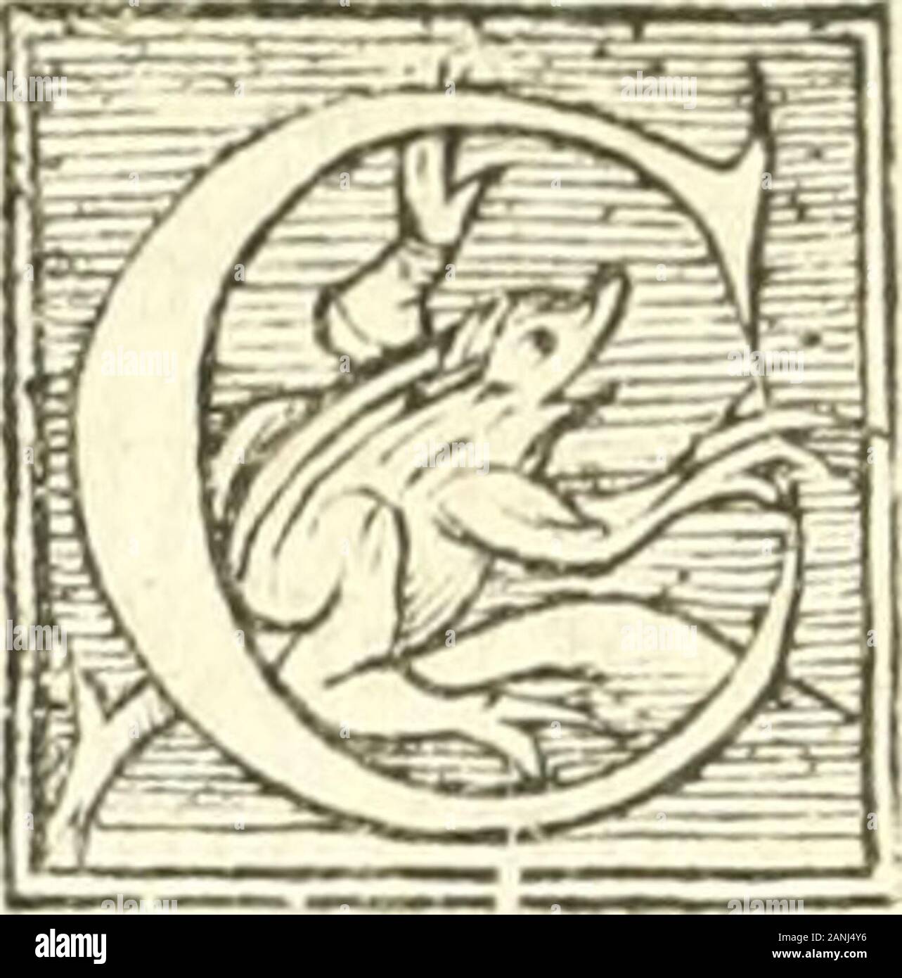 L'agriculture et maison rustique; en laquelle est contenu tout ce qui peut estre requis, pour bastir maison champestre, nourrir & medeciner bestiail & volaille de toutes fortes, dresser iardins ..entretenir les prez, viuiers & estangs ..Plus vn bref recueil de la chasse & de la fauconnerie . pour fngulier remède auat Cotre morfureles neuf iours la fleur de fainét foin bruflce & meflcc,auec du fiu chié enragé,vieil oingt,appliquée fur la playe, ou bien la piler auec le vinblanc vieil, & la luy faire boire. Aufsi la racine defglaticrmi-fe en poudre fur la playe, ou luy faire aualler, auec Stock Photo
