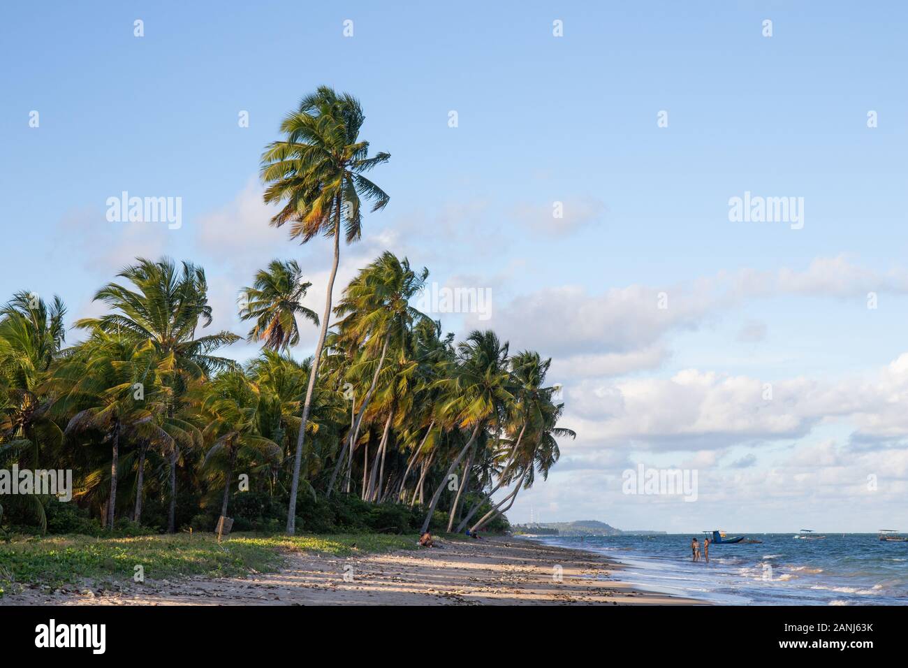 Port of Loss / Alagoas / Brazil. November, 29, 2019. View of Porto de Pedras city and Patacho beach in early summer. Stock Photo