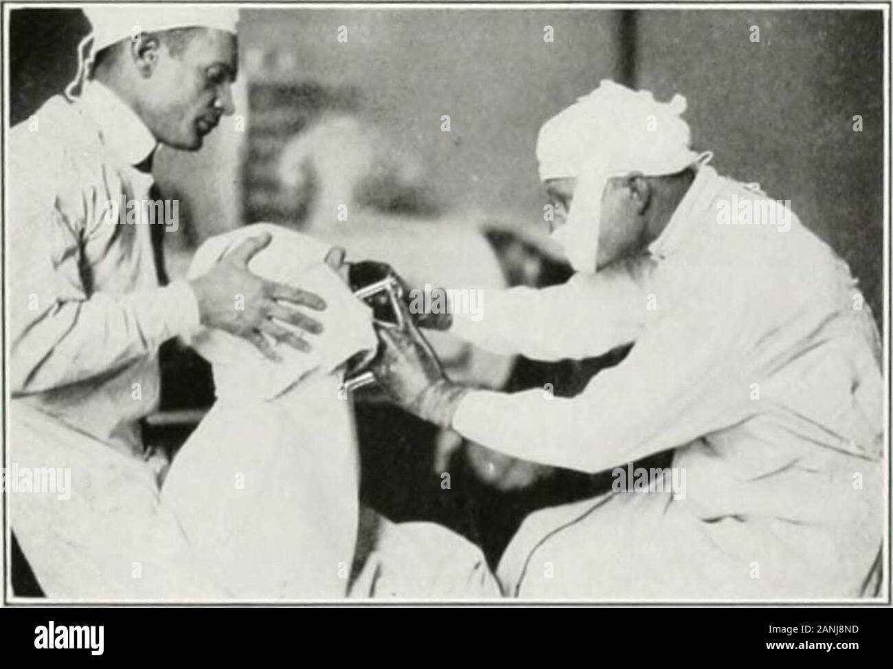 Hp v hi-res stock photography and images - Page 6 - Alamy