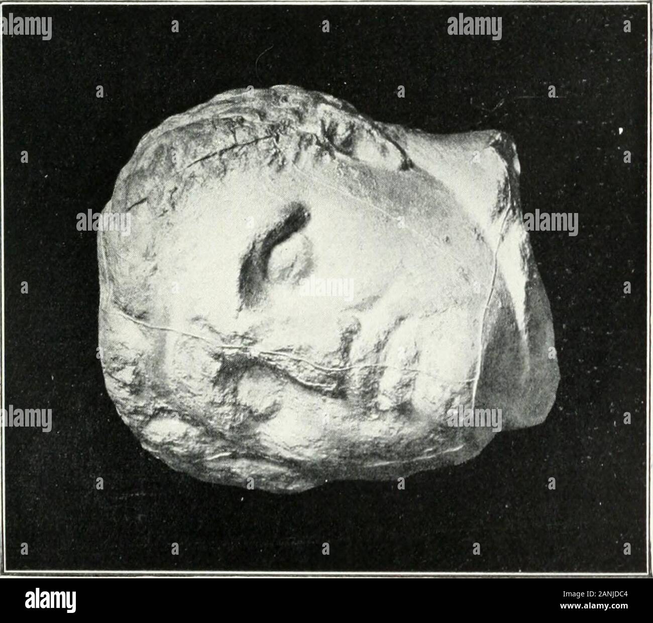 Chevreau High Resolution Stock Photography And Images Alamy