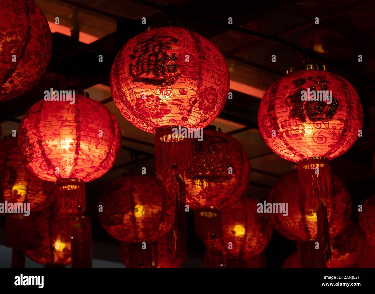 Chinese lantern outside Buddha tooth relic temple celebrating the year of the rat. Chinese New Year 2020 Stock Photo