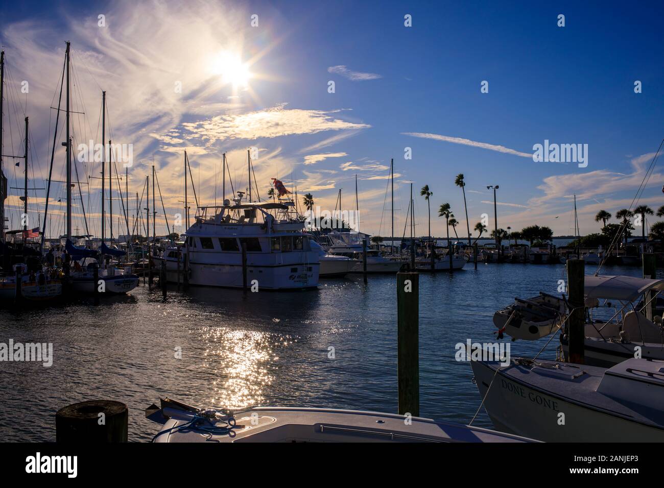 Dunedin, Florida Temperatures rose into the 80's setting near high records for this time of year
