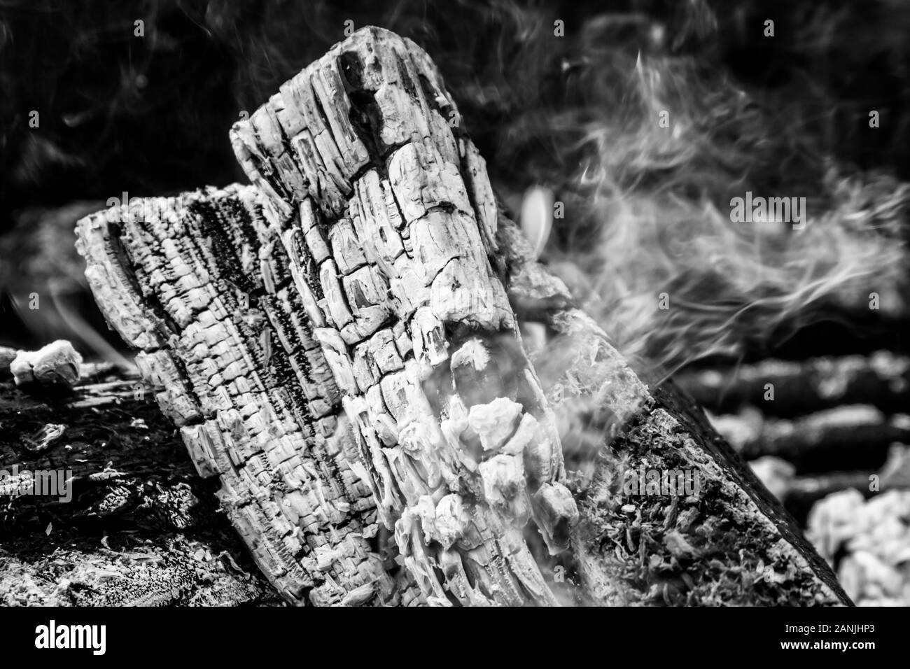 Black and white close up of fire pit wood burning featuring flame and