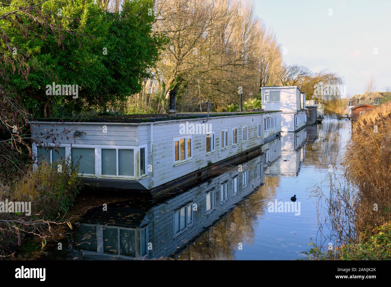 Chichester Canal showing a number of floating homes (residential