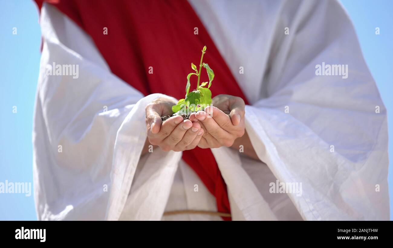 Male hands in robe holding sprout, ecological problems, save planet concept Stock Photo