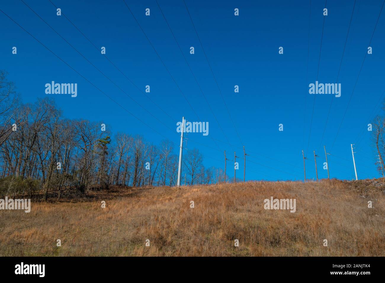 High up on a hill are wooden and metal power lines in a field with tall grasses cutting through the woodlands alongside on clear blue sky sunny day in Stock Photo