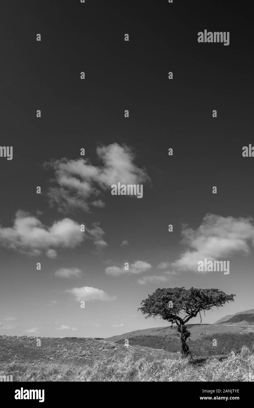 Lake District Image Stock Photo - Alamy