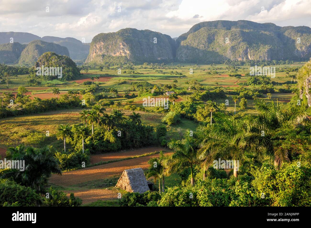 Cuba, Sierra del Rosario. Unesco Weltnaturerbe seit 1984 Vinales valley, Sierra del Rosario, Cuba |Vinales Tal, Sierra Rosario, Cuba Stock Photo