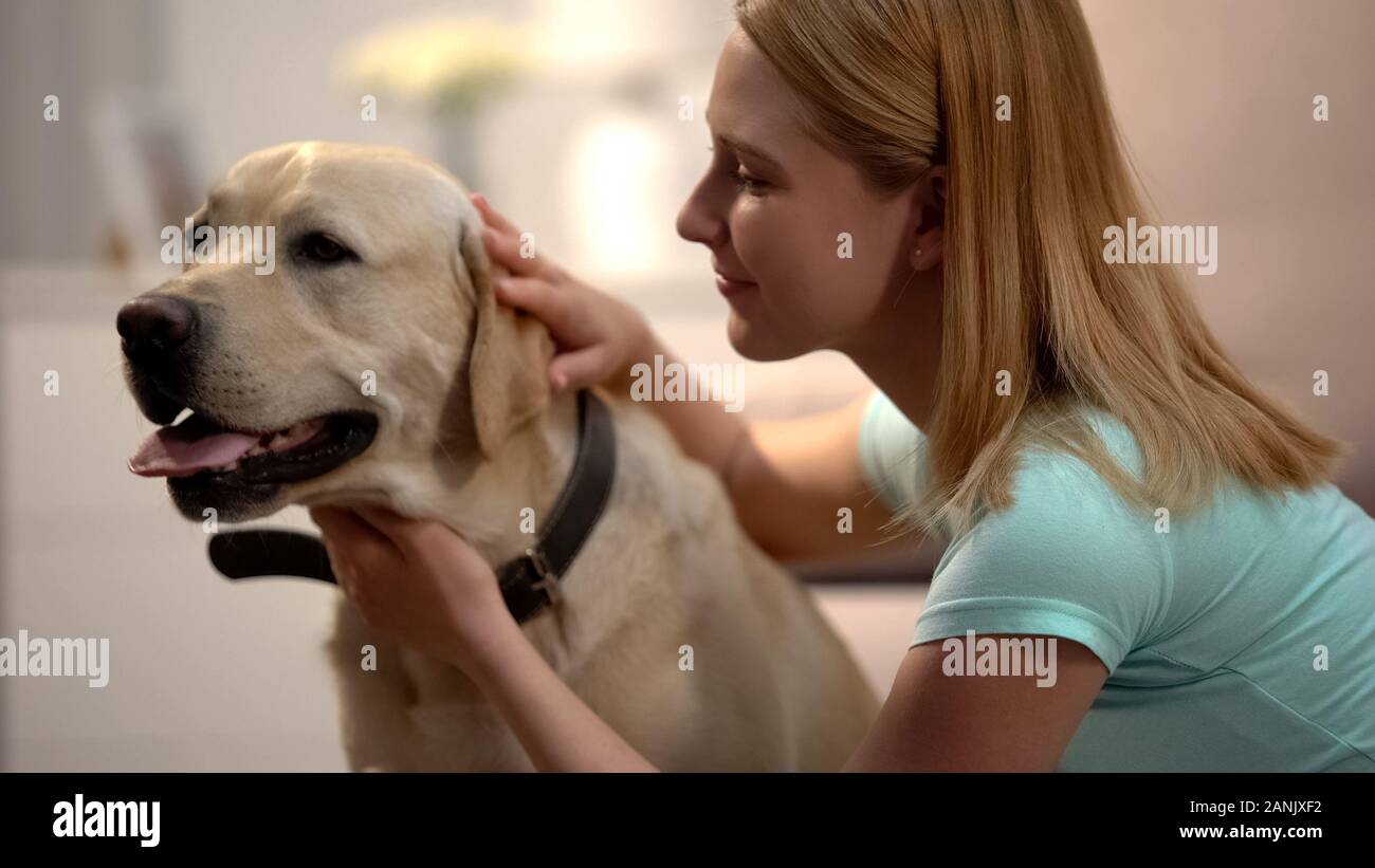 Woman stroking cute labrador dog, admiring beautiful pet, togetherness concept Stock Photo