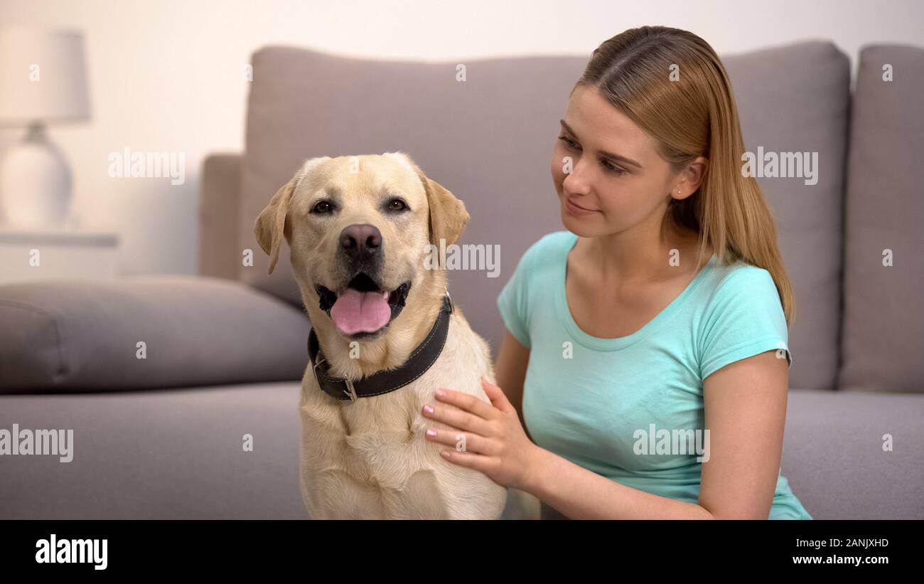 Female dog owner admiring labrador retriever at home animal and human friendship Stock Photo