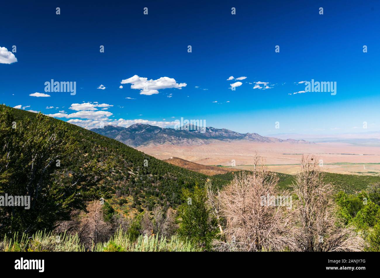 Great Basin National Park Viewpoint Stock Photo