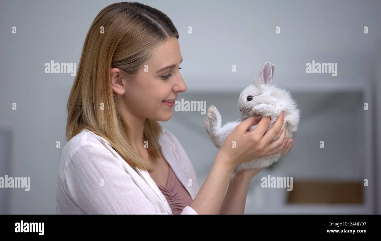 Health Checking Rabbit Picture Woman examining rabbit for fleas and mites, health checkup at home ...