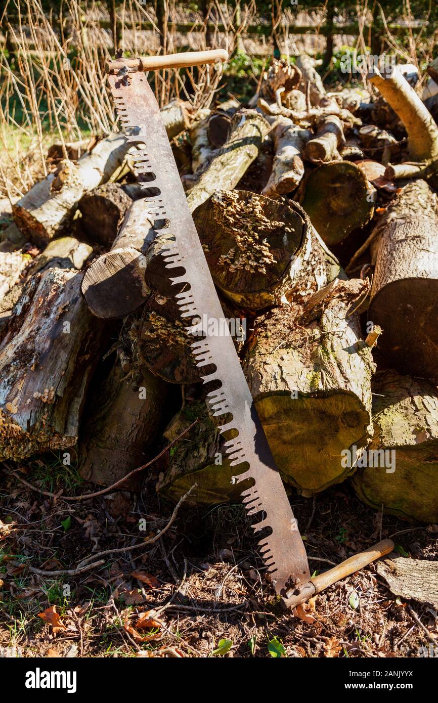 Antique 2 man saw deals