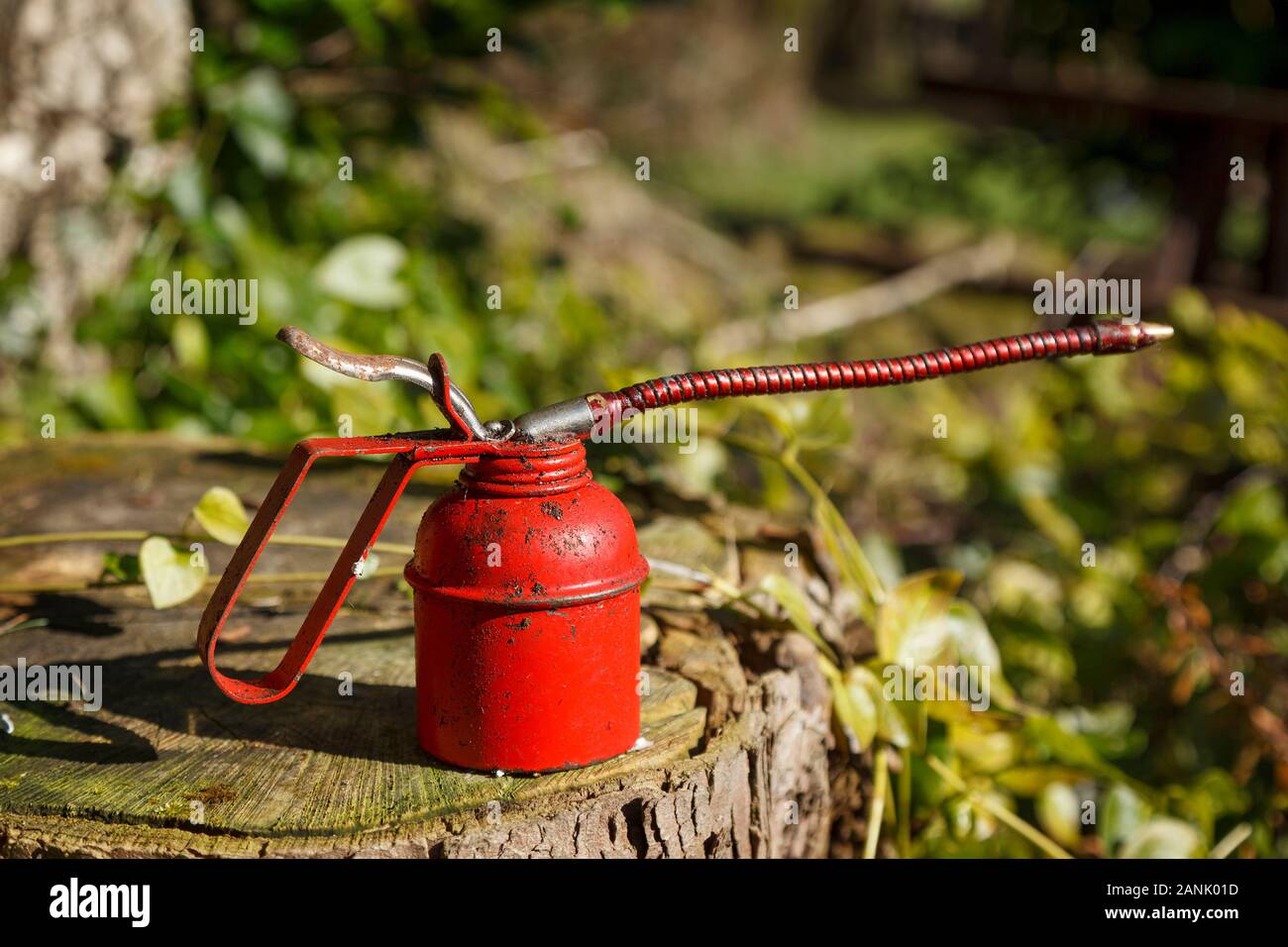 Old fashioned red oil can shot outside on a old tree stump, with green foliage in the background, on a sunny day. Stock Photo