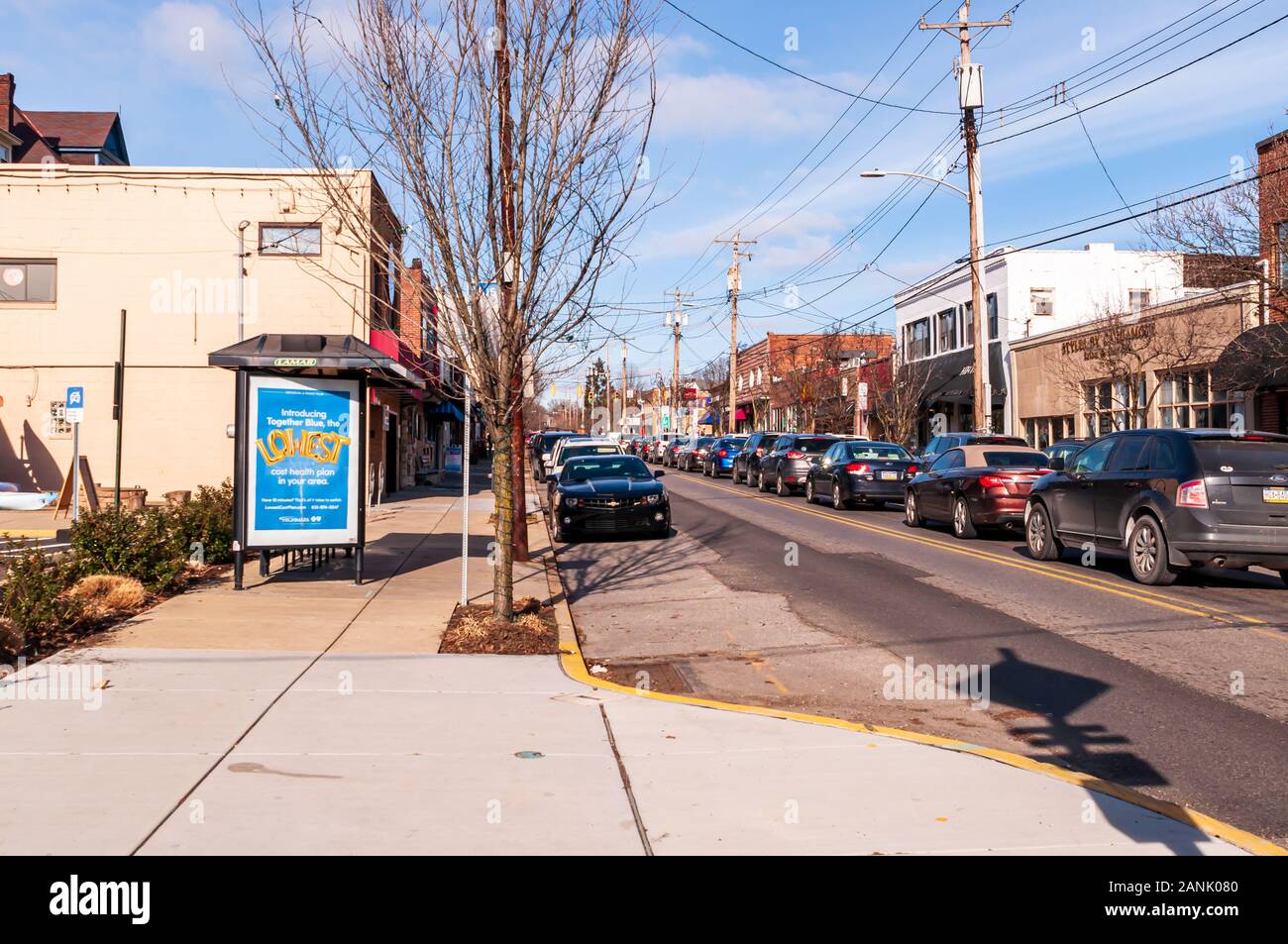 The Braddock Avenue business district in Regent Square, a mix of shops