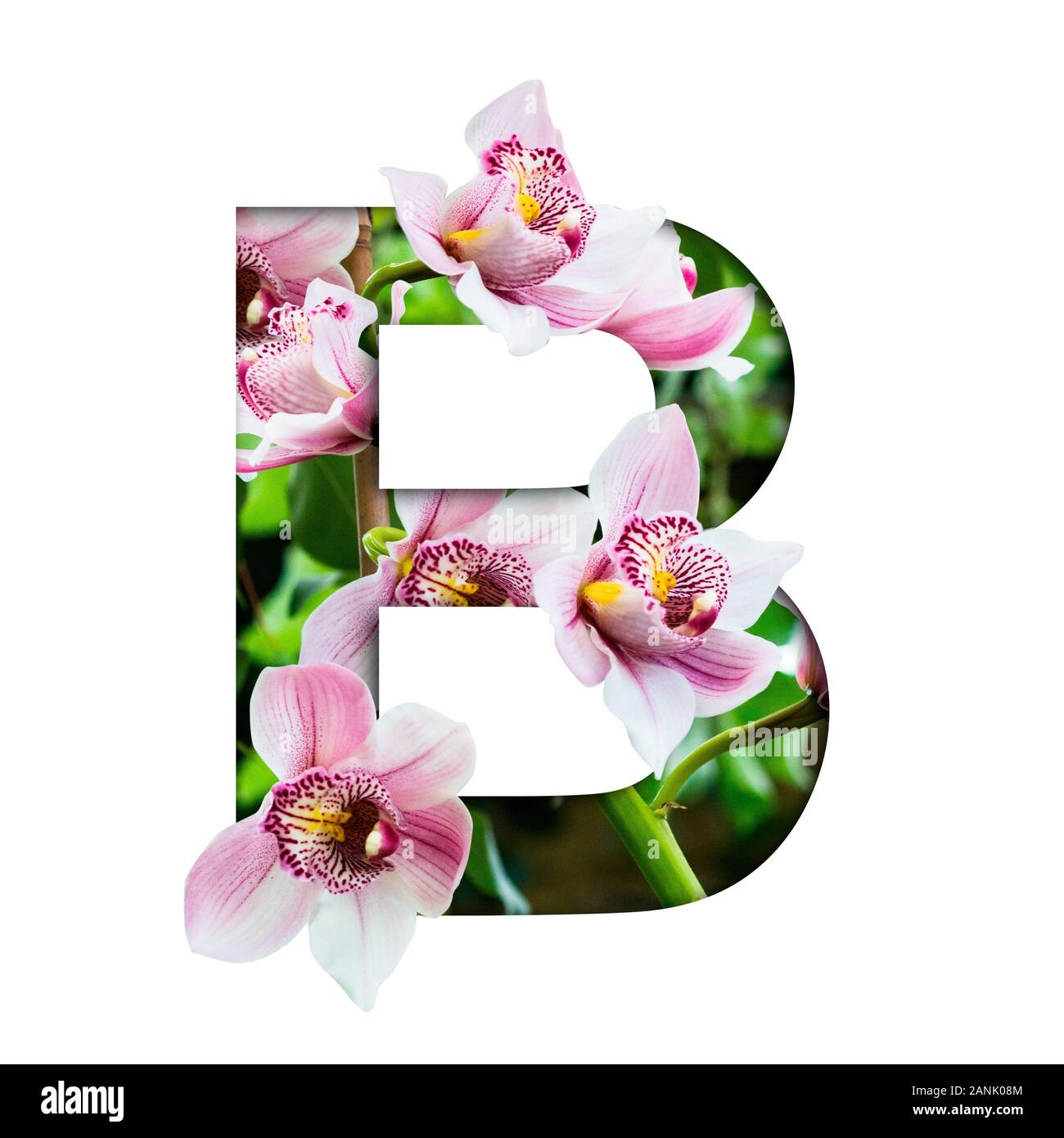 Flower font. Letter B made from natural flowers. Composition of ...