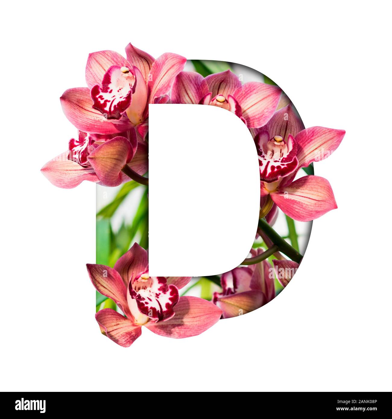 Flower font. Letter D made from natural flowers. Composition of beautiful orchids. Text in the form of tropical plants Stock Photo