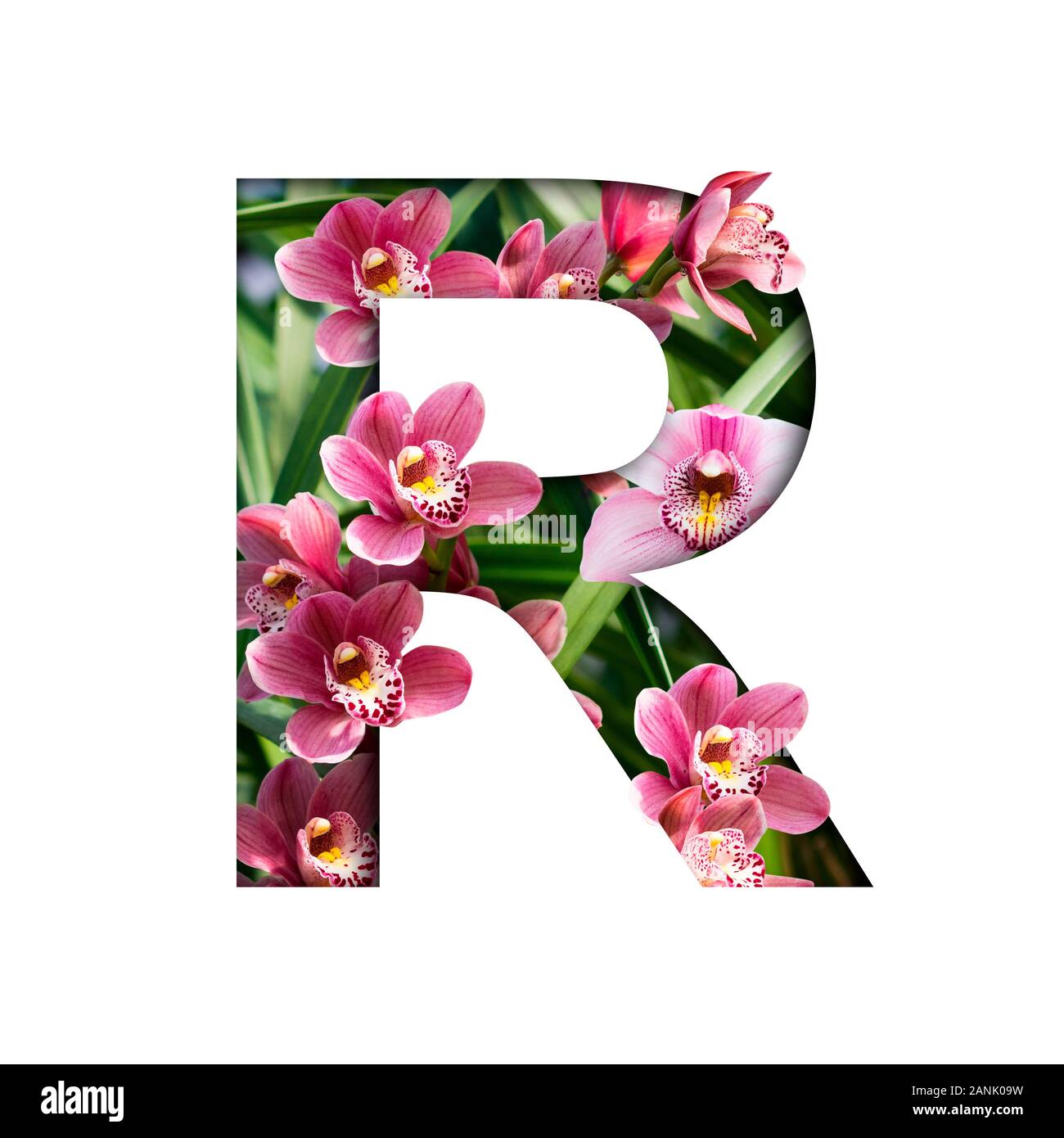 Letter r flowers hires stock photography and images Alamy