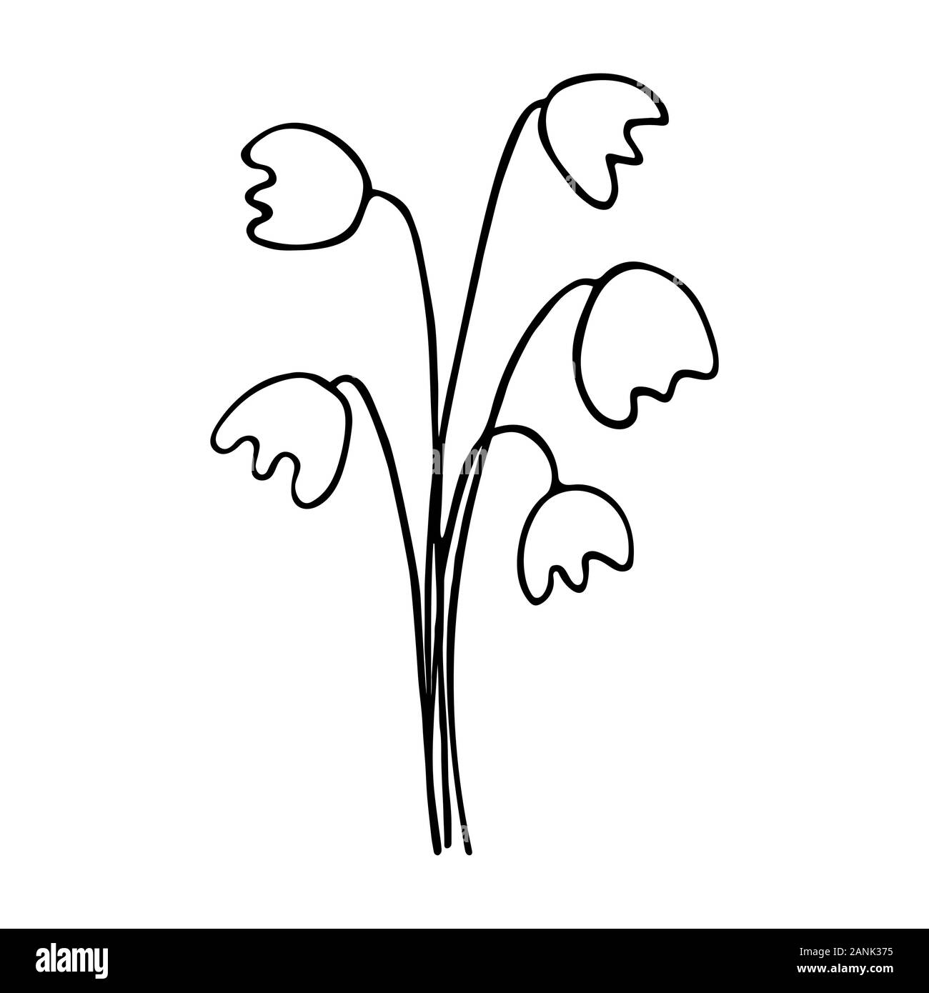 Lilies of the valley. Sprig flower in doodle style. Spring summer ...