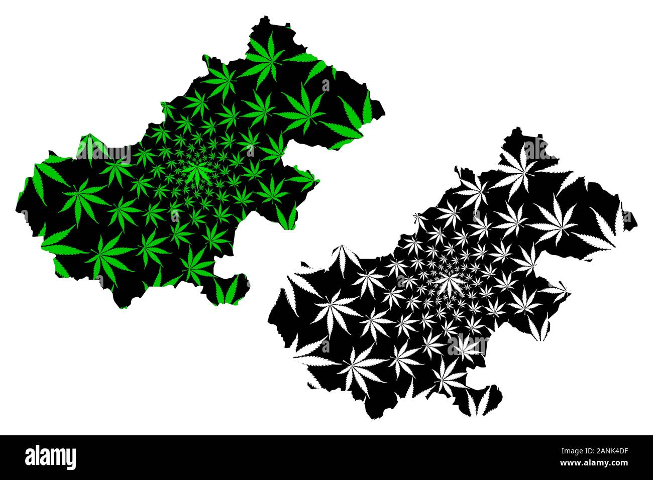 Satu Mare County (Administrative divisions of Romania, Nord-Vest development region) map is designed cannabis leaf green and black, Satu Mare map made Stock Vector