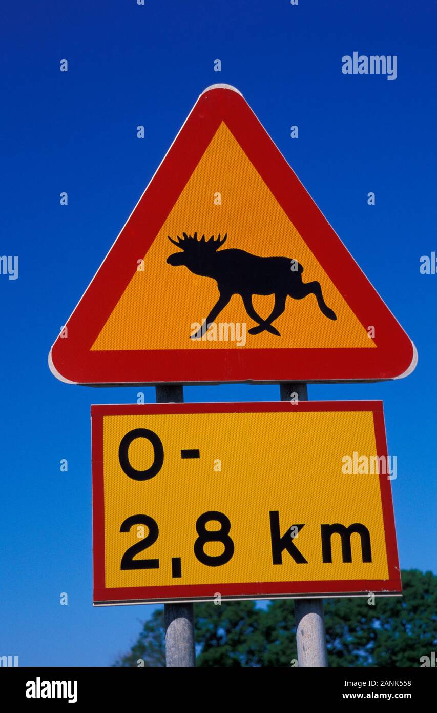 Elk traffic sign, Sweden, Scandinavia, Europe Stock Photo
