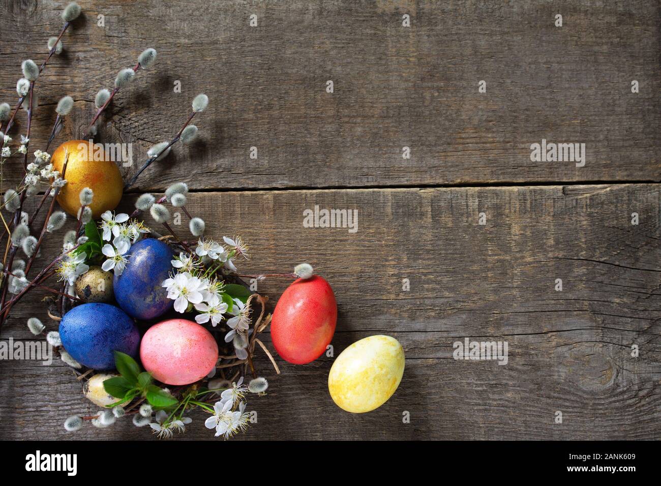 Easter eggs in a nest with willow branches and spring flowers on a gray ...