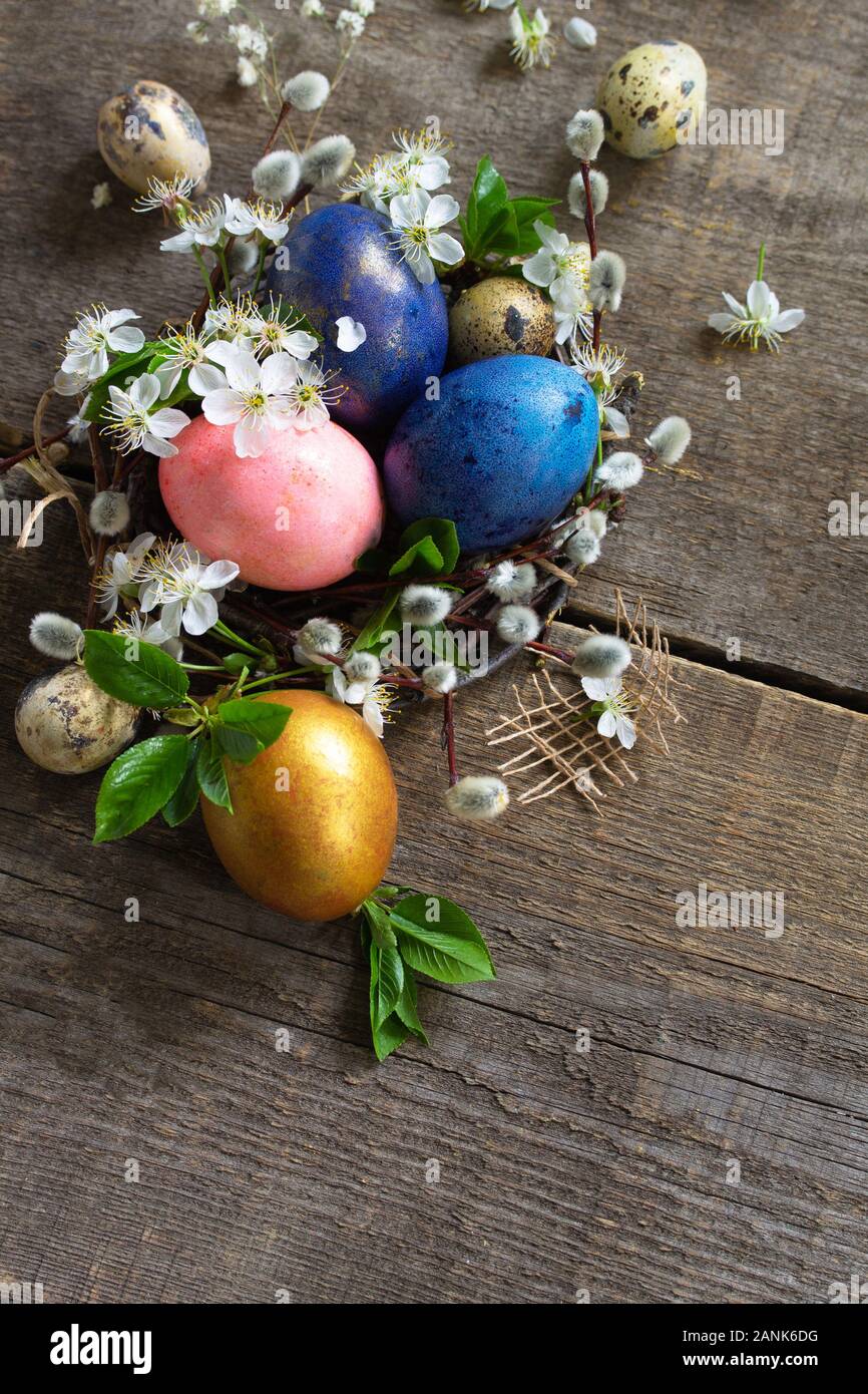 Colored Easter eggs in a nest with willow branches and spring flowers ...