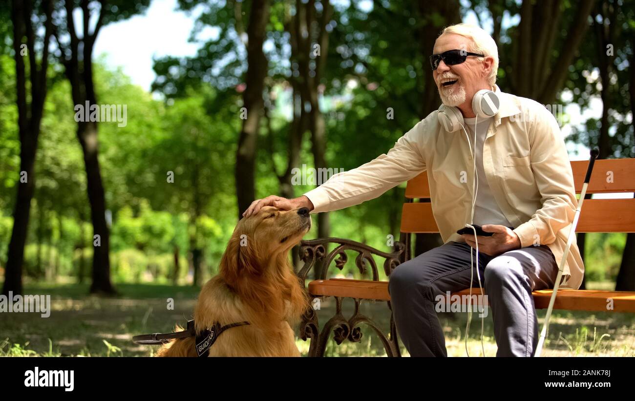 Blind man with earphones stroking dog, full life of impaired, enjoying time Stock Photo