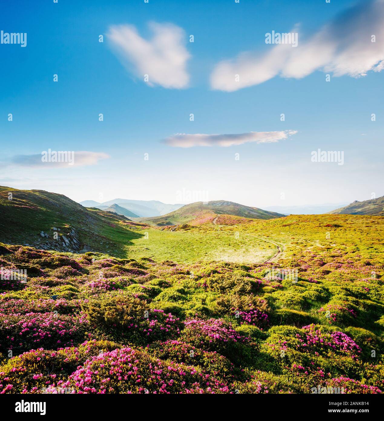 Captivating scene of the alpine valley in sunlight. Picturesque day. Location place Carpathian Ukraine, Europe. Wonderful image of wallpaper. Unique p Stock Photo
