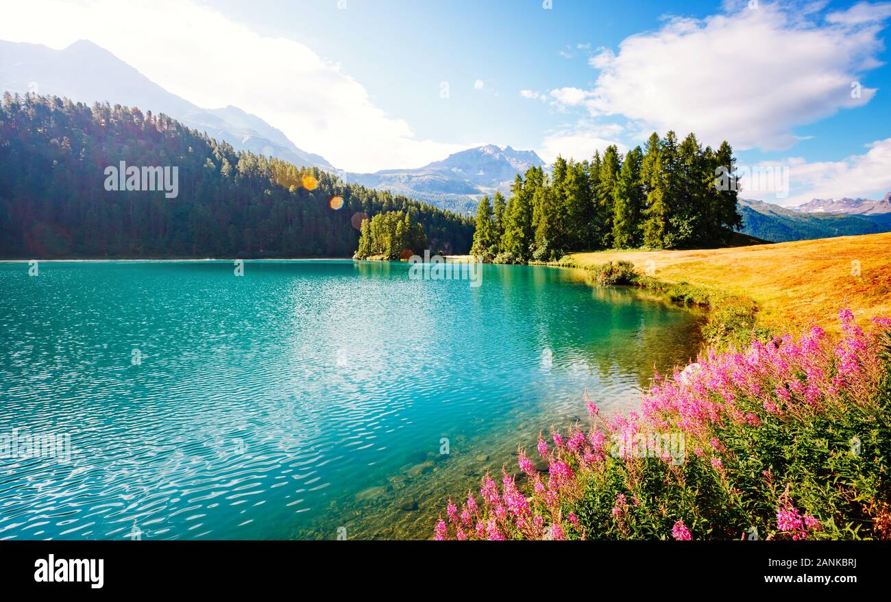 Azure pond Champfer is a unique place on earth. Picturesque day and  gorgeous scene. Location Silvaplana village, Swiss alps, Maloja, Europe.  Wonderful Stock Photo - Alamy