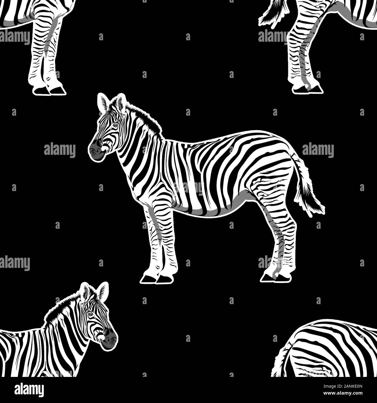 illustration of zebra graphic repeat pattern print. Seamless animal