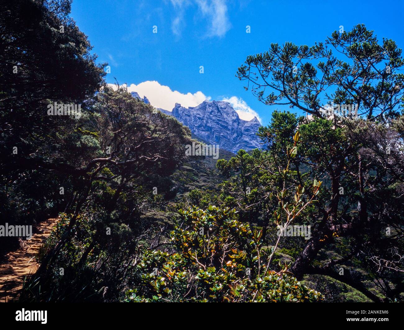 Mount Kinabalu National Park, Sabah, Malaysia. Summit trail, view of summit in the background, trail steps in foreground. Stock Photo