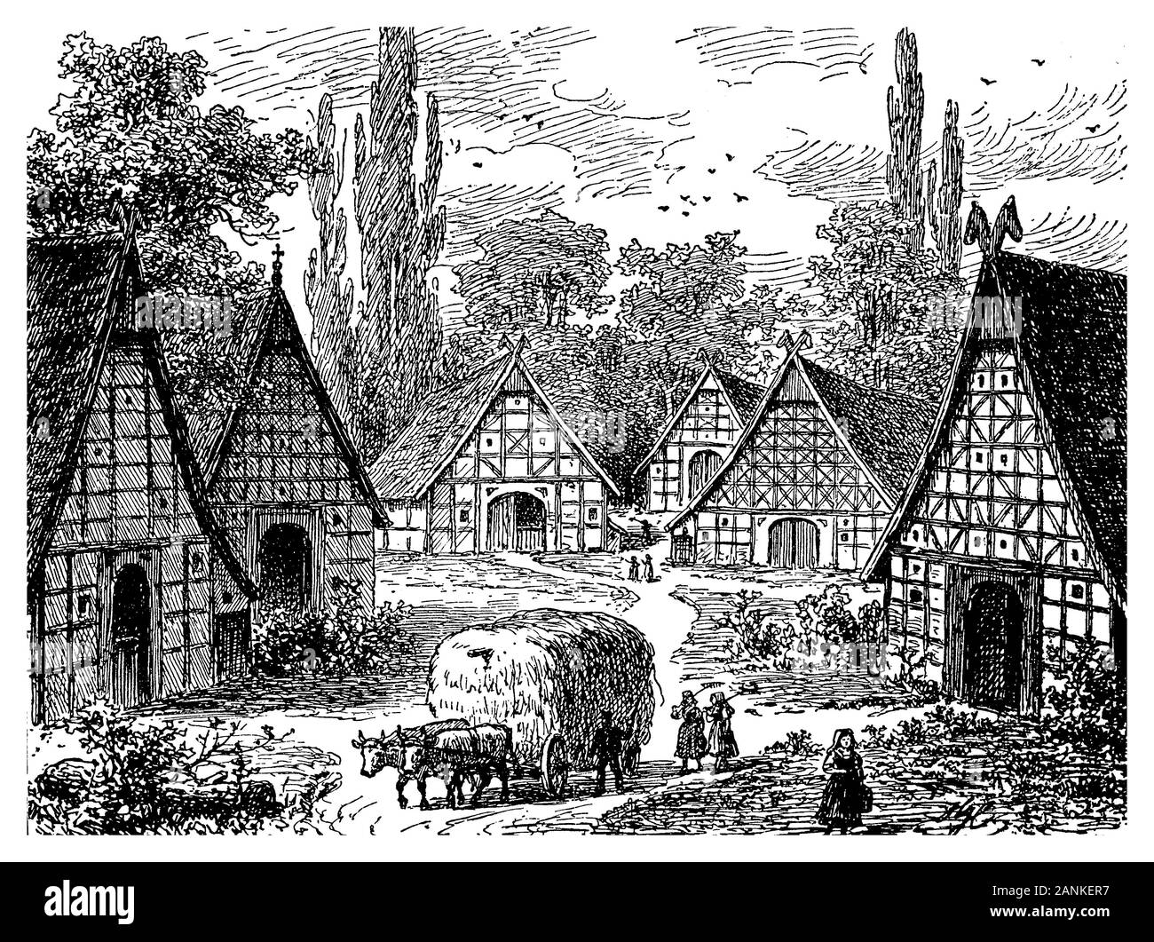 Idyllic view of North German rural village with half-timbered facades immersed in great vegetation and a cart of hay pulled by oxen Stock Photo