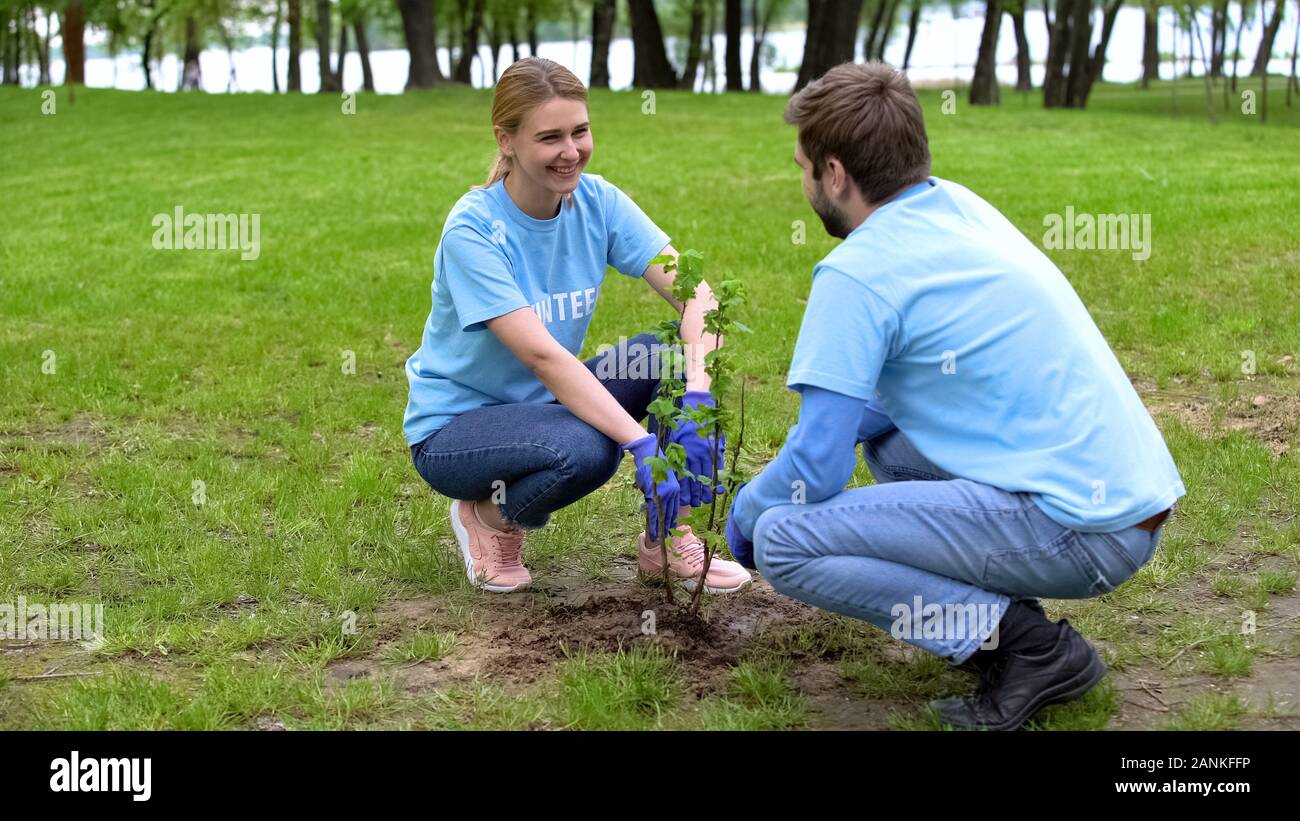 Волонтеры цветы. Посадка цветов волонтерами. Волонтёры сажают растения. Волонтеры сажают деревья. Сажают парк.