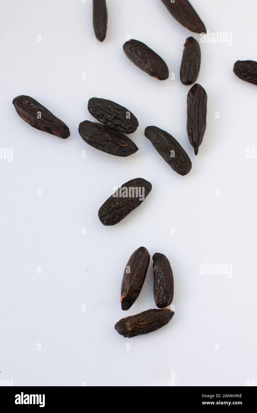 Fava tonka beans on white backgound Stock Photo