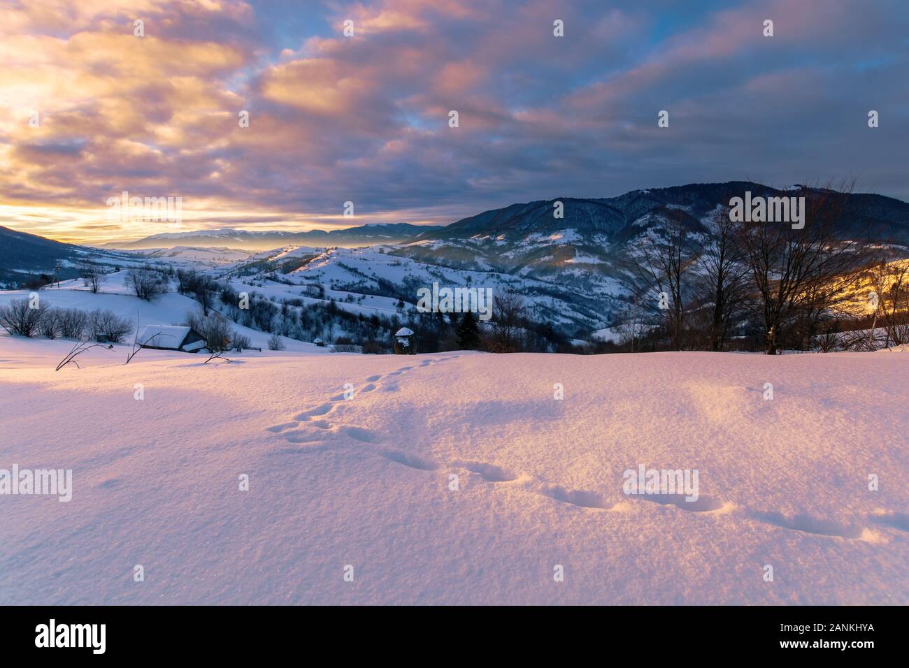 mountainous countryside in winter at sunrise. snow covered hills and fields of carpathian rural area rolling off in to the distant krasna ridge. glowi Stock Photo