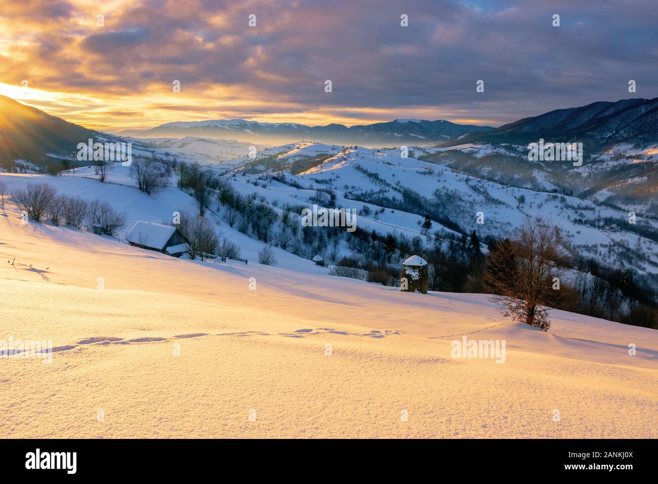 mountainous countryside in winter at sunrise. snow covered hills and fields of carpathian rural area rolling off in to the distant krasna ridge. glowi Stock Photo