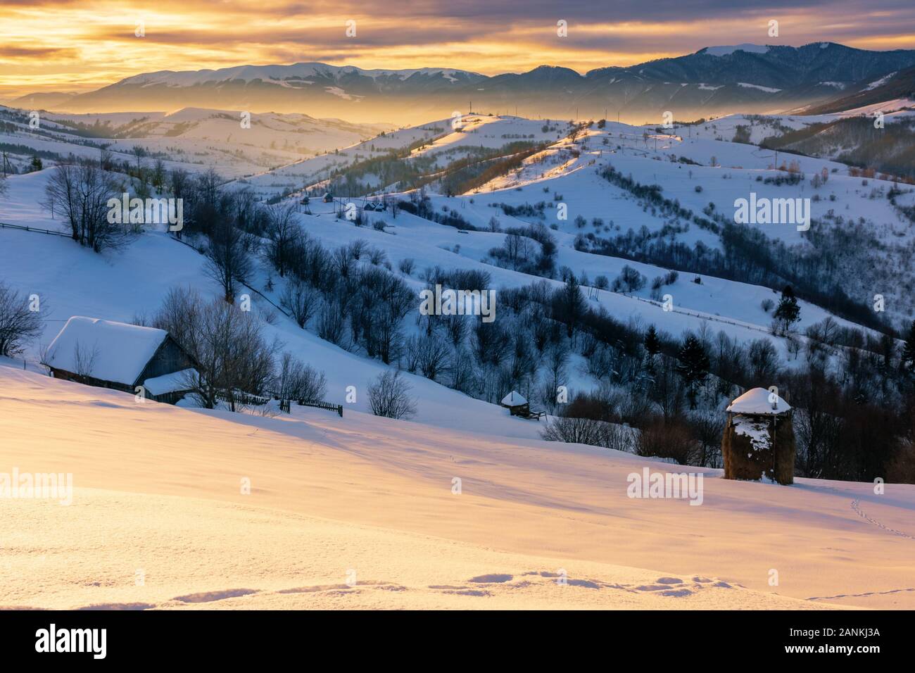 mountainous countryside in winter at sunrise. snow covered hills and fields of carpathian rural area rolling off in to the distant krasna ridge. glowi Stock Photo