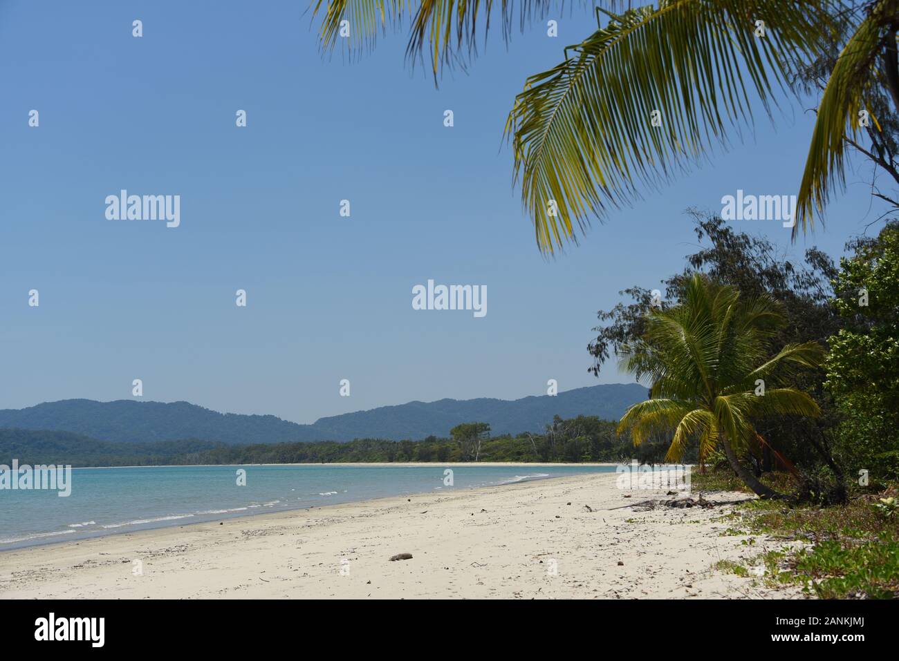 A full frame image of a tropical paradise on the gorgeous beach at Cape Tribulation, Australia Stock Photo