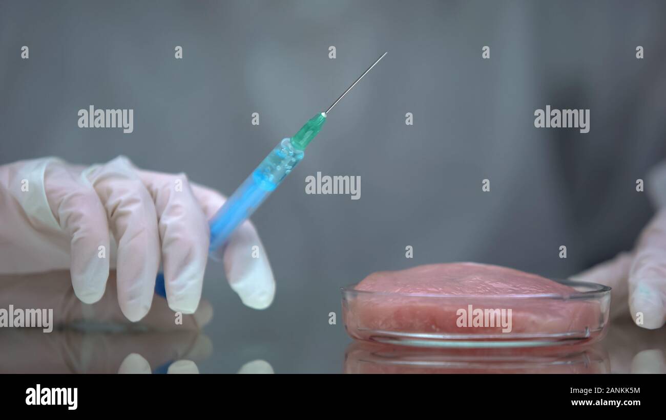Lab worker holding syringe with liquid, meat on table, gmo impact on organism Stock Photo